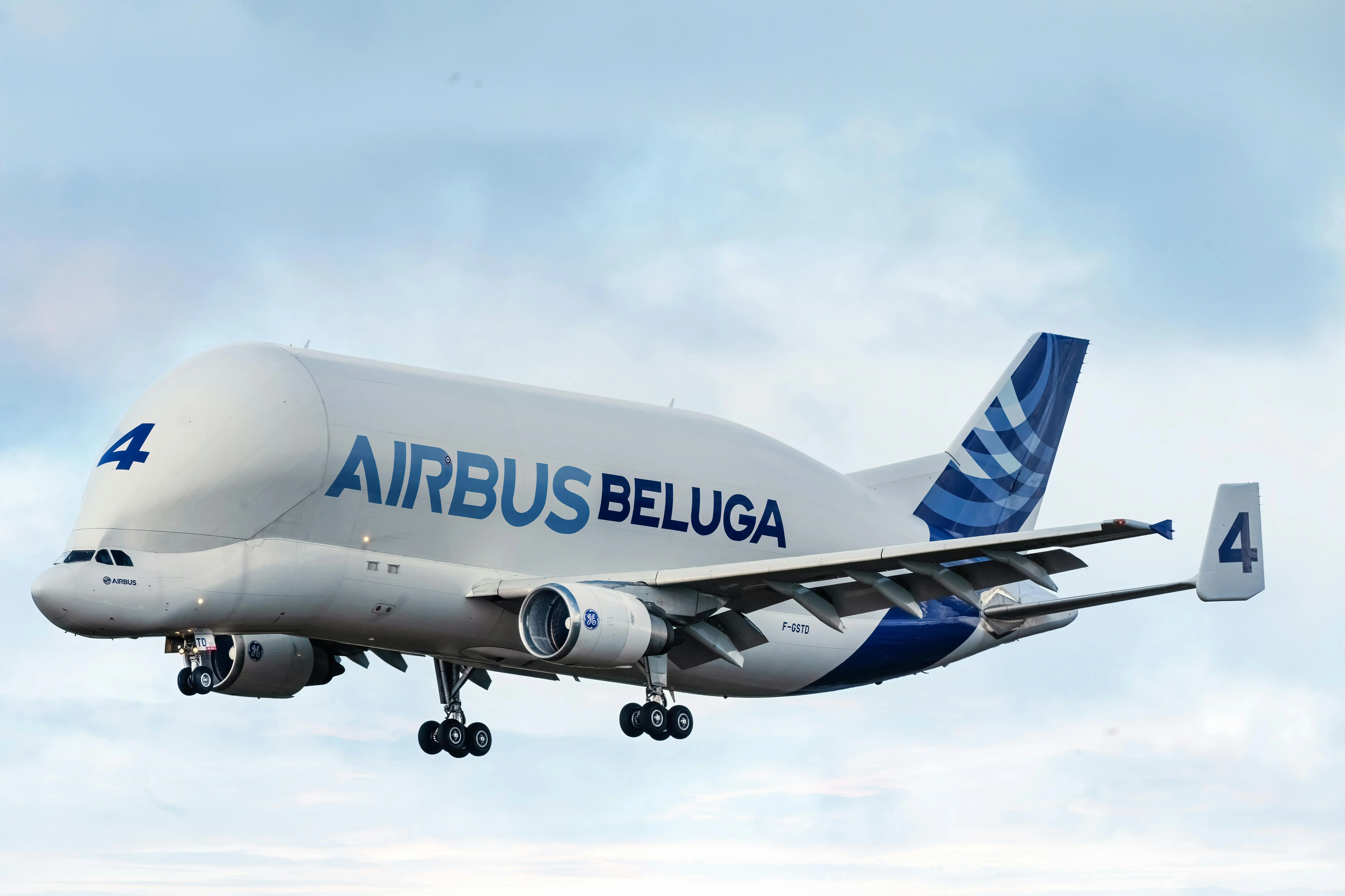 Air Freight Service Options